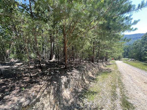 1.37 Acres of Residential Land for Sale in Summerville, Georgia