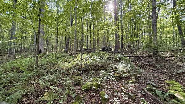 2.3 Acres of Residential Land for Sale in Dunlap, Tennessee