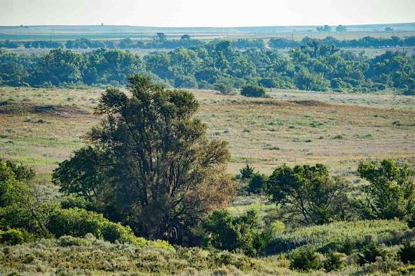 800 Acres of Recreational Land & Farm for Sale in Mobeetie, Texas