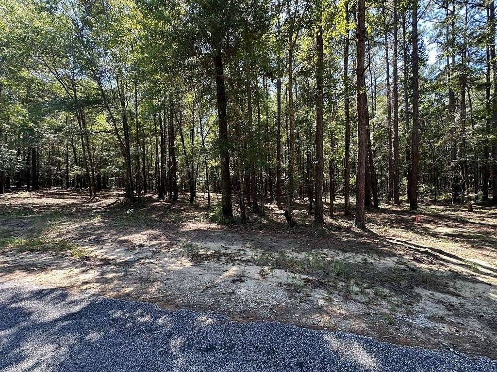 Residential Land for Sale in Abbeville, Alabama