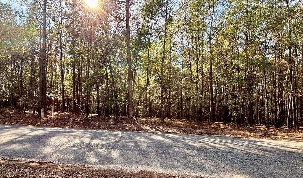 Residential Land for Sale in Abbeville, Alabama