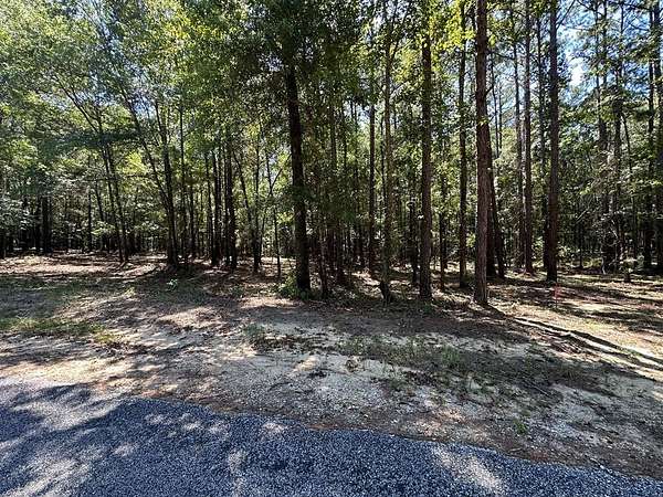 Residential Land for Sale in Abbeville, Alabama