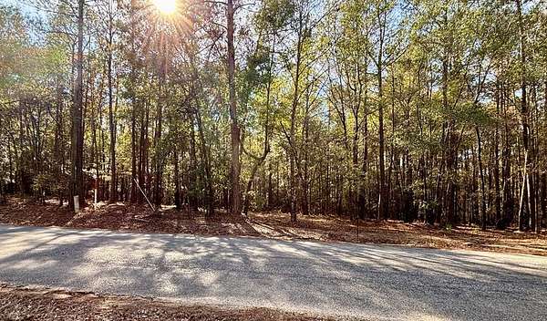 Residential Land for Sale in Abbeville, Alabama
