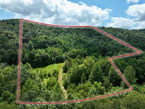 21 Acres of Recreational Land for Sale in Hillsboro, Kentucky