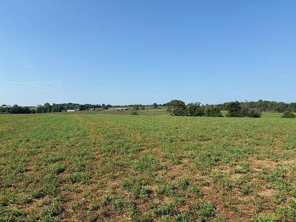 59 Acres of Land for Sale in Ewing, Kentucky