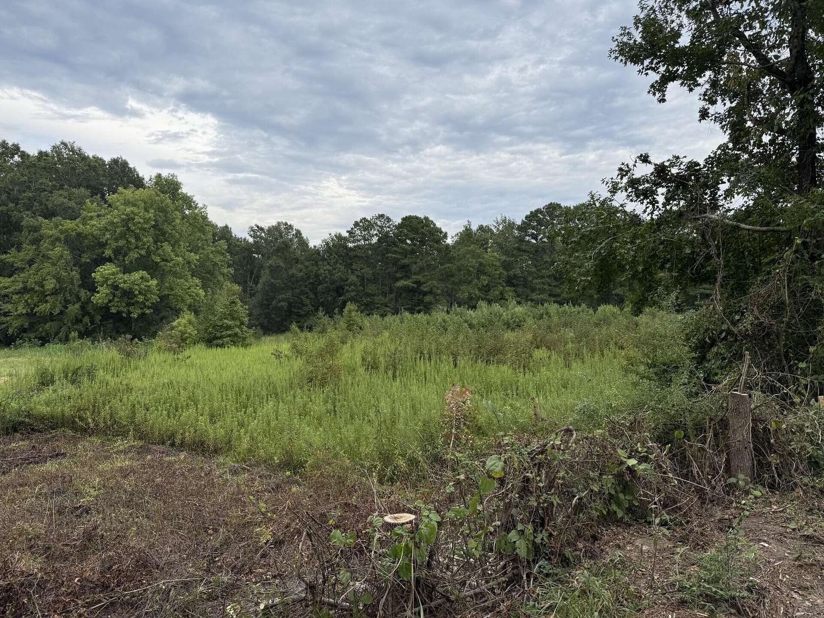 2.5 Acres of Residential Land for Sale in Lincolnton, Georgia