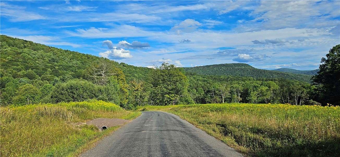 95 Acres of Agricultural Land for Sale in Andes, New York