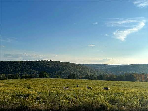 53 Acres of Land for Sale in Pine City, New York