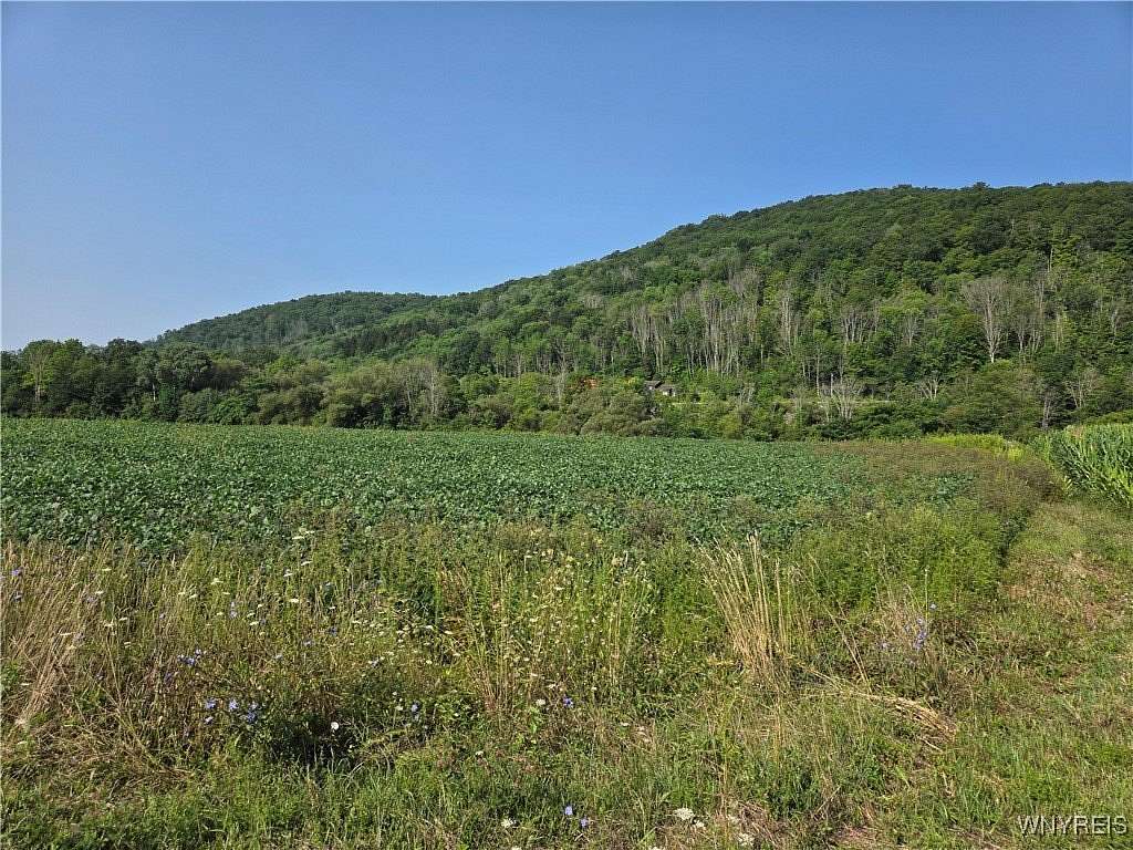 5 Acres of Residential Land for Sale in Great Valley, New York