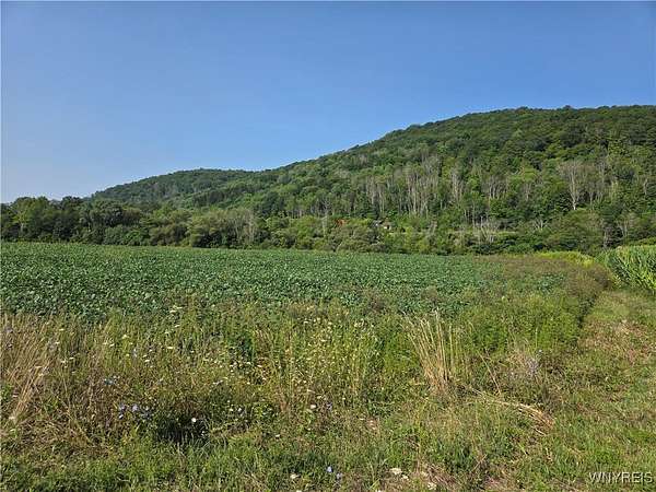 5 Acres of Residential Land for Sale in Great Valley, New York