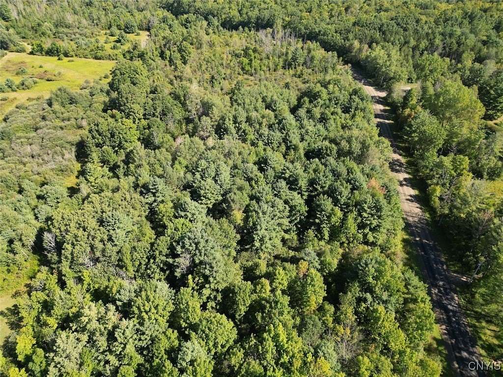 10.3 Acres of Recreational Land for Sale in Pulteney, New York