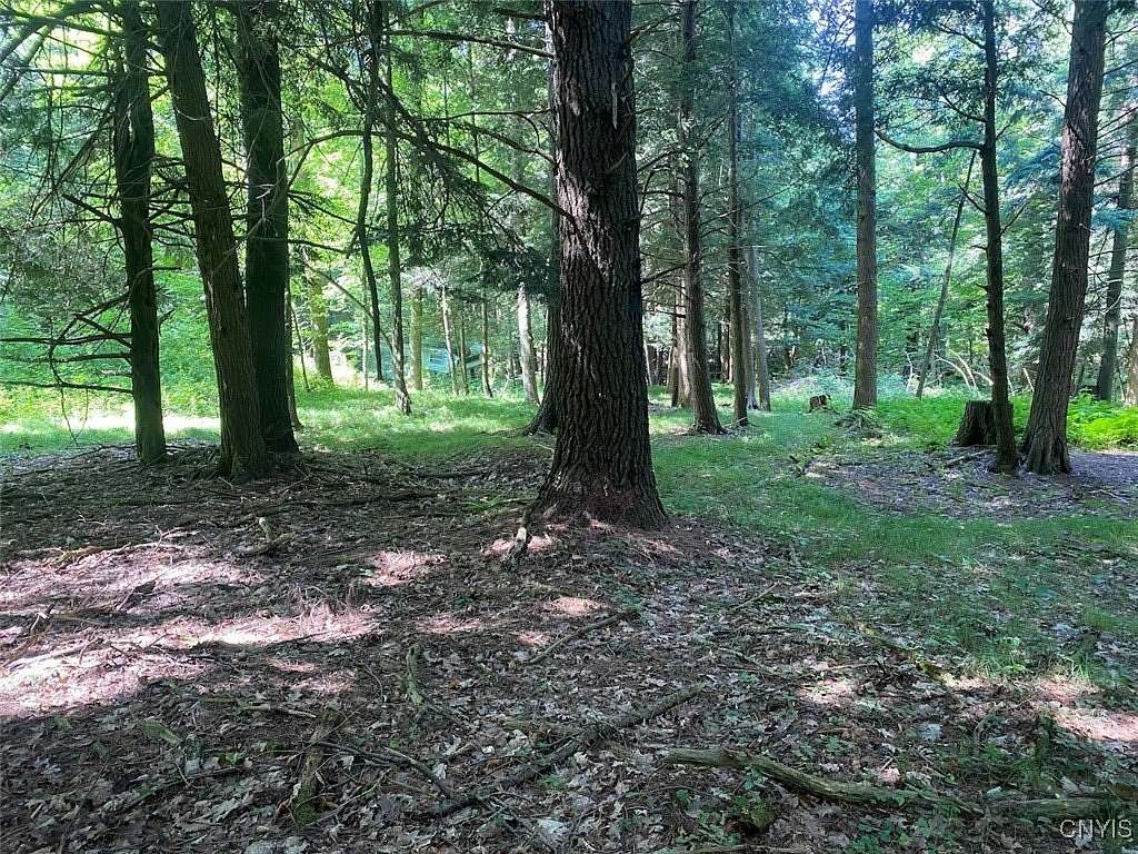 98.2 Acres of Recreational Land for Sale in Belmont, New York