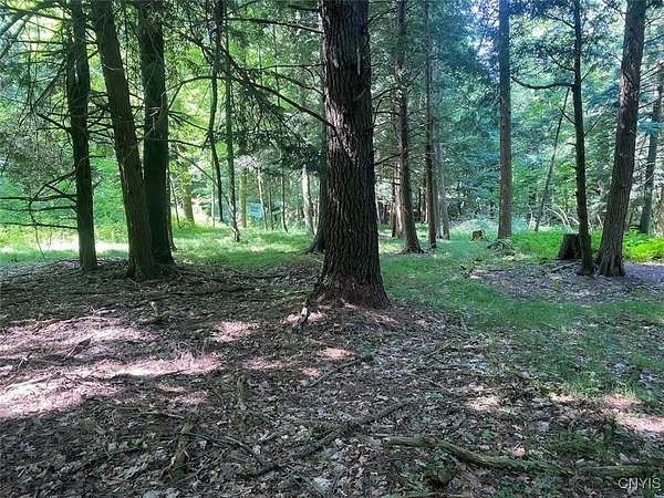 98.2 Acres of Recreational Land for Sale in Belmont, New York