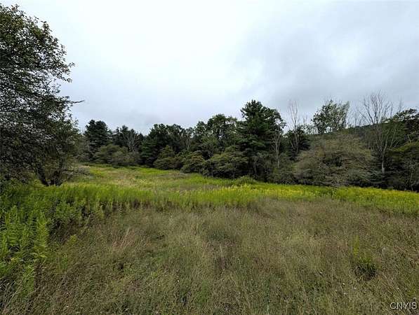 5 Acres of Land for Sale in Woodhull, New York