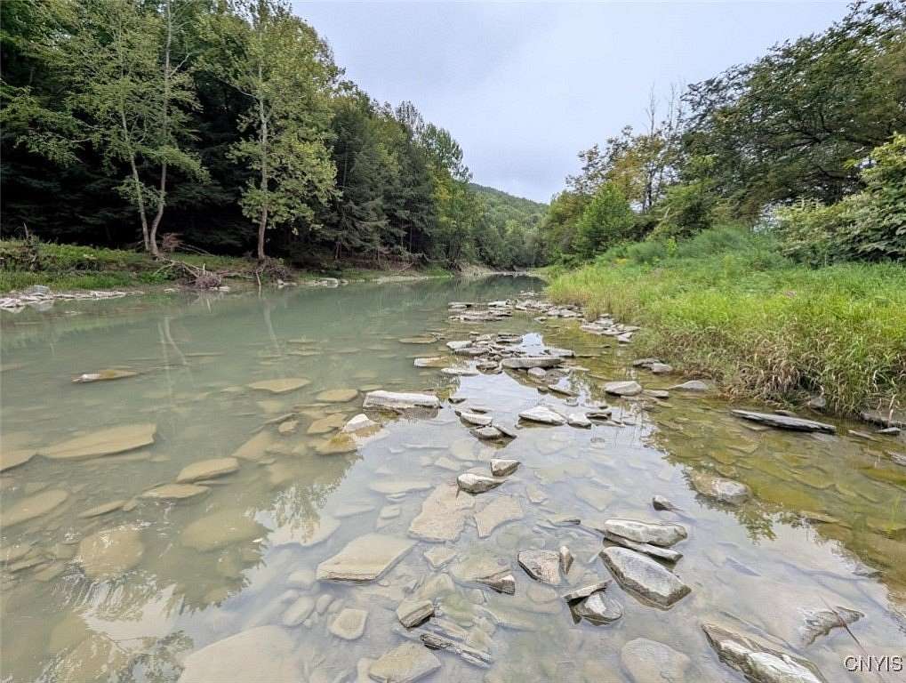 4 Acres of Land for Sale in Woodhull, New York