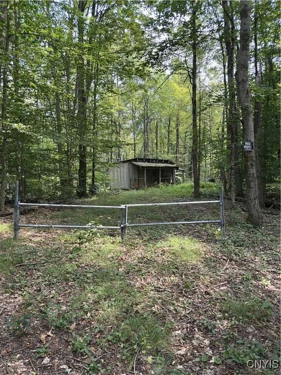 29.7 Acres of Recreational Land for Sale in Cold Brook, New York