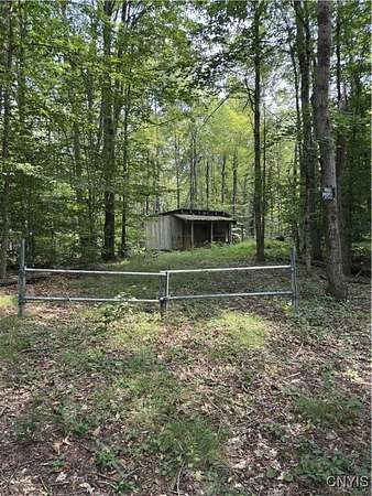 29.7 Acres of Recreational Land for Sale in Cold Brook, New York