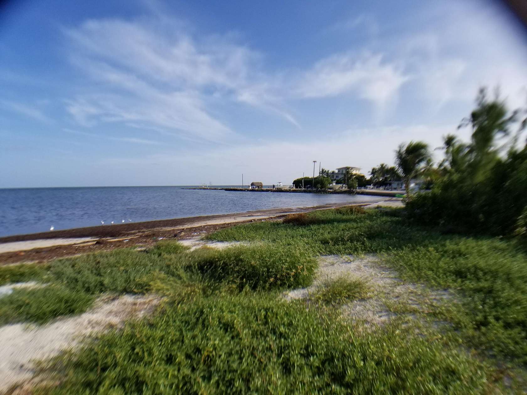 Residential Land for Sale in Lower Matecumbe Key, Florida