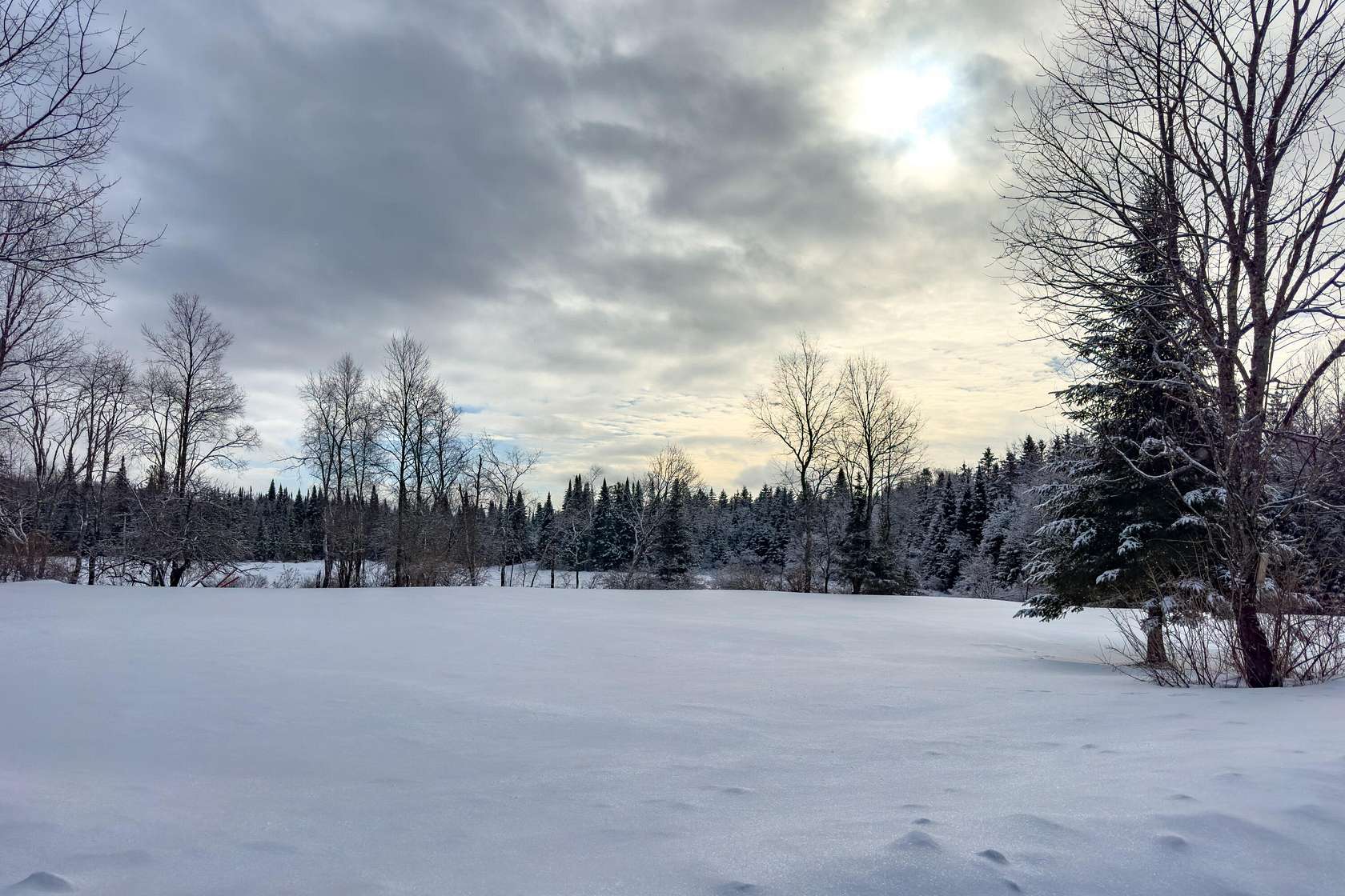 44.6 Acres of Recreational Land with Home for Sale in Cold Brook, New York