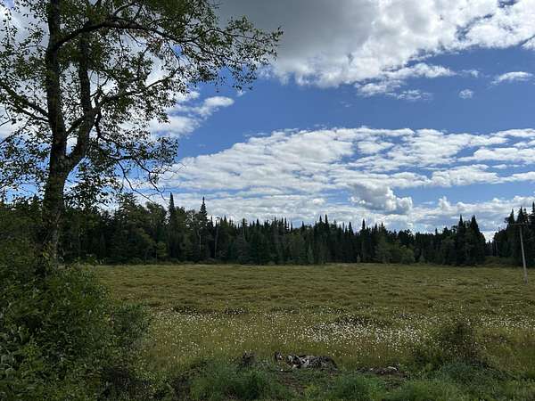 44.6 Acres of Recreational Land with Home for Sale in Cold Brook, New York