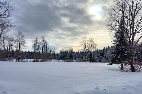 44.6 Acres of Recreational Land with Home for Sale in Cold Brook, New York