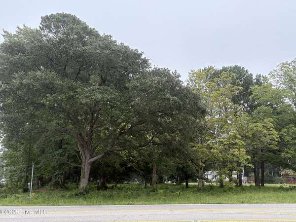 1 Acre of Land for Sale in Shallotte, North Carolina