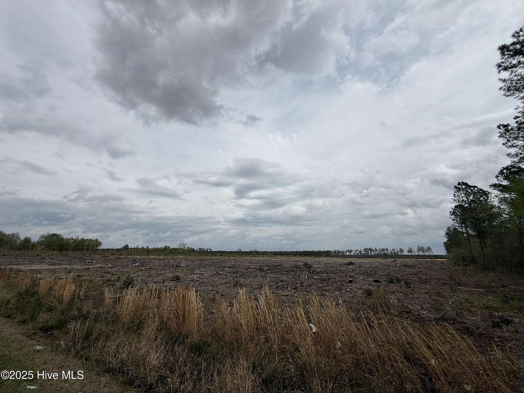 21.1 Acres of Recreational Land for Sale in Greenville, North Carolina