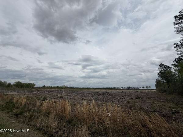 21.1 Acres of Recreational Land for Sale in Greenville, North Carolina