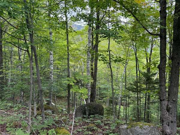 30.9 Acres of Land for Sale in Keene Valley, New York
