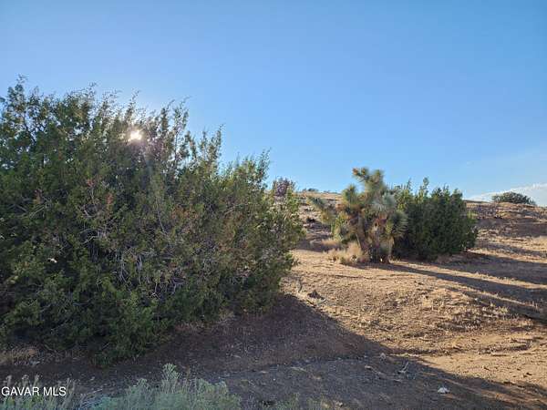 41 Acres of Land for Sale in Lake Hughes, California