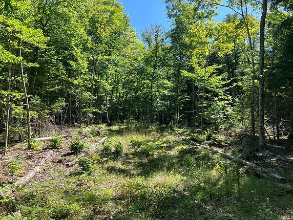 3.5 Acres of Land for Sale in Ellison Bay, Wisconsin
