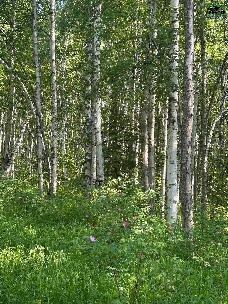 6.89 Acres of Residential Land for Sale in Fairbanks, Alaska