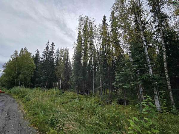 5 Acres of Residential Land for Sale in North Pole, Alaska