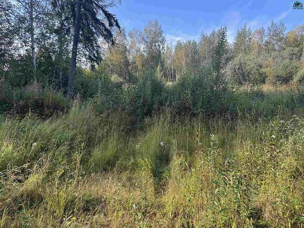 2.29 Acres of Residential Land for Sale in Fairbanks, Alaska