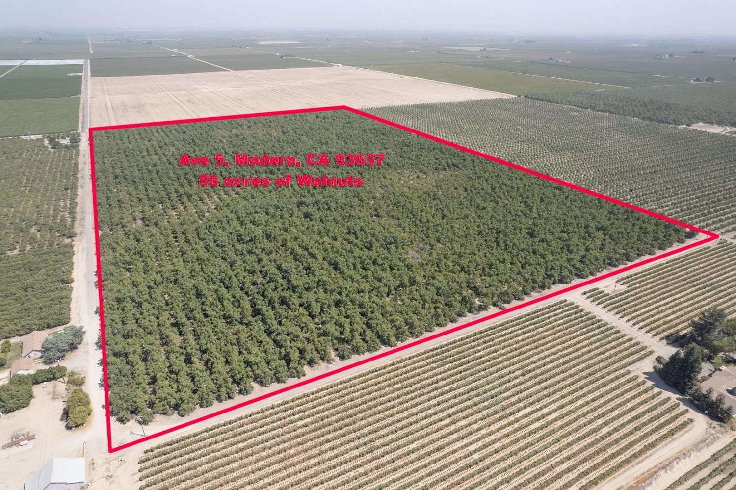 57.8 Acres of Agricultural Land for Sale in Madera, California