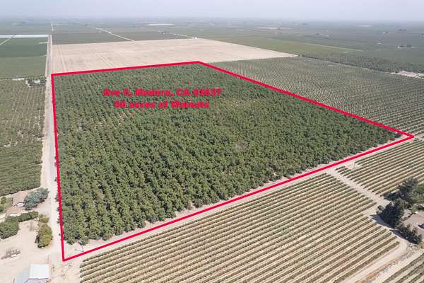 57.8 Acres of Agricultural Land for Sale in Madera, California