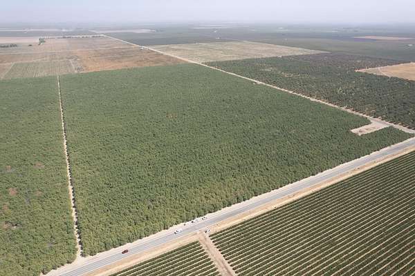 156 Acres of Agricultural Land for Sale in Madera, California