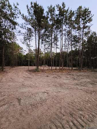 1.75 Acres of Residential Land for Sale in Livingston, Louisiana