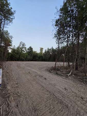 1.75 Acres of Residential Land for Sale in Livingston, Louisiana