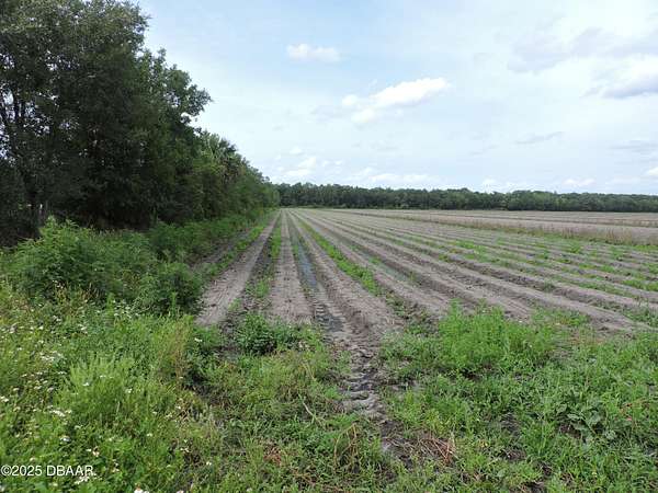 10 Acres of Residential Land for Sale in Bunnell, Florida