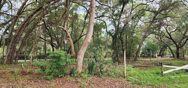 10 Acres of Residential Land for Sale in Orange City, Florida