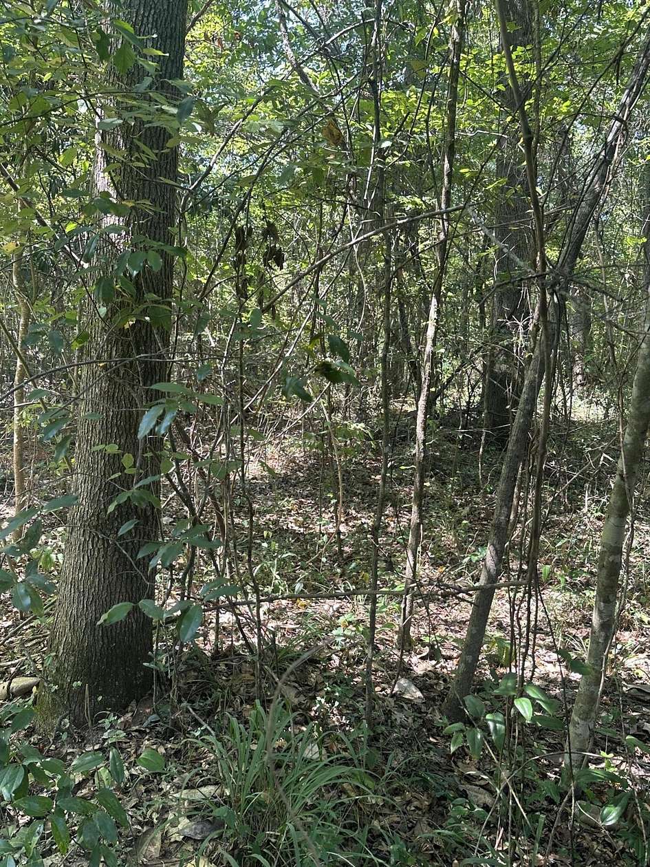 Residential Land for Sale in Hattiesburg, Mississippi