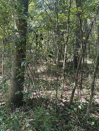 Residential Land for Sale in Hattiesburg, Mississippi