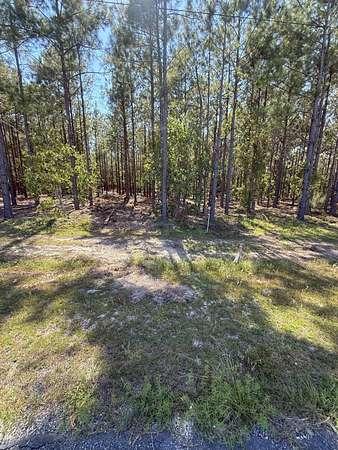 2 Acres of Land for Sale in Kershaw, South Carolina