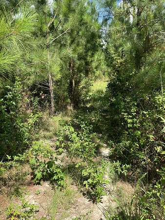 7.33 Acres of Land for Sale in Kershaw, South Carolina