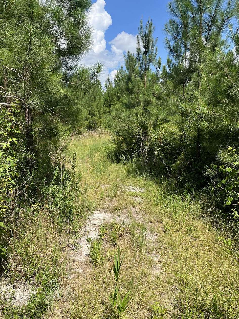 12.5 Acres of Land for Sale in Kershaw, South Carolina