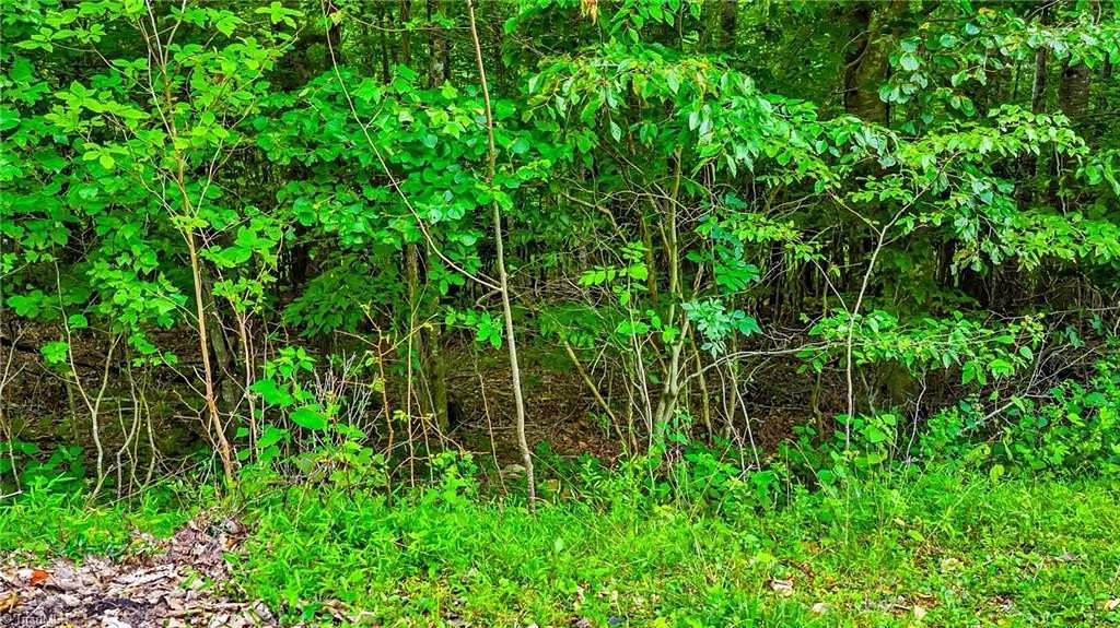 1.47 Acres of Residential Land for Sale in Fleetwood, North Carolina