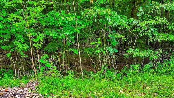 1.47 Acres of Residential Land for Sale in Fleetwood, North Carolina