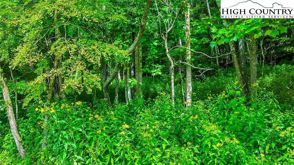 1.28 Acres of Land for Sale in Fleetwood, North Carolina