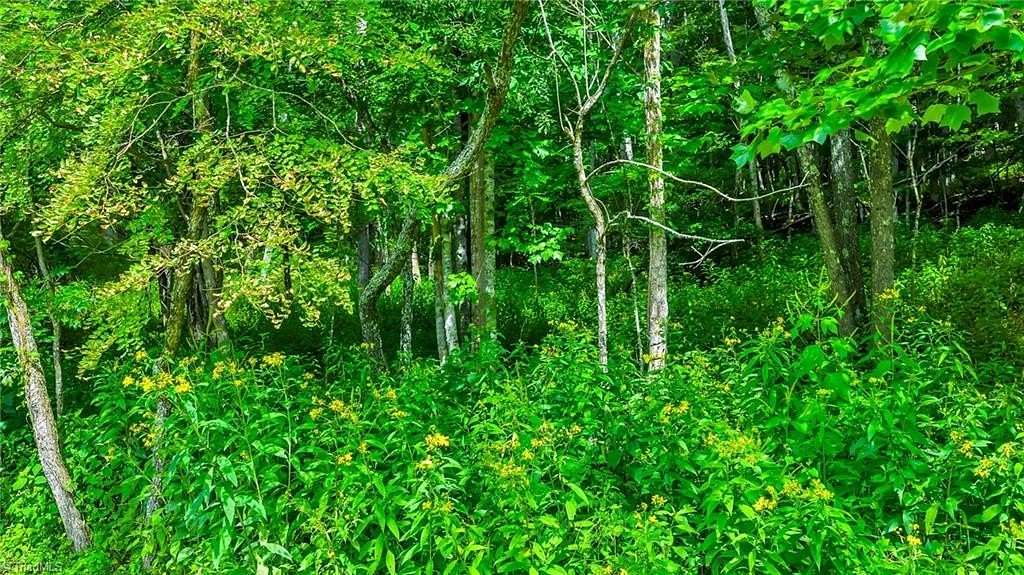 1.28 Acres of Residential Land for Sale in Fleetwood, North Carolina